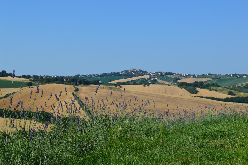 הוילה Belvedere Ostrense Agriturismo Tenuta Belvedere מראה חיצוני תמונה